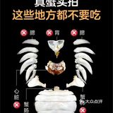 🐚🥢螃蟹大揭秘：手把手教你轻松拆螃蟹