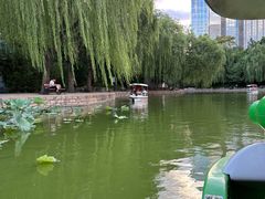 -团结湖公园