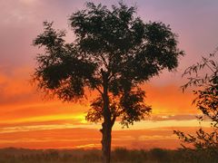 -西安汉城湖景区