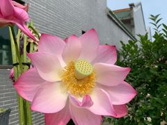 -八景休閒山莊  廣東十大名山莊