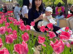 -长春公园(普阳街道)