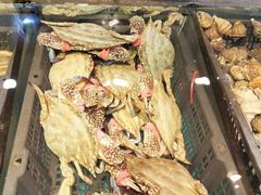 -福来齐·鲁菜海鲜·渔家菜(朝阳街分店)