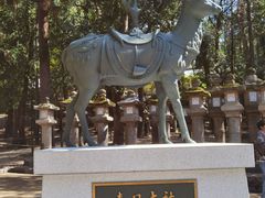 -奈良公园