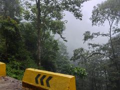 -云南屏边大围山国家公园