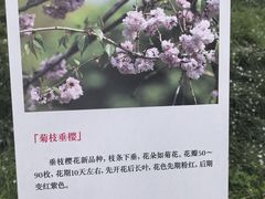 -堤角公园