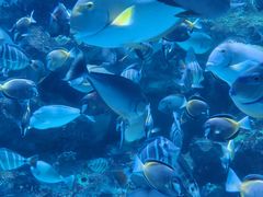 -海合安成都极地海洋公园