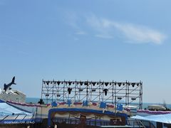 -海合安青岛极地海洋公园
