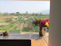 -翠田Green Field Kitchen