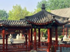 -团结湖公园