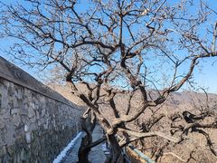 -香山公园