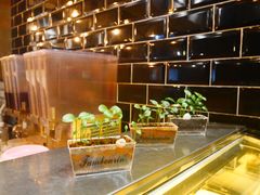 -源本清茶(顺城购物中心店)
