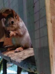 -酷嗒动物文化乐园(cutezoo西溪乐天城店)