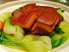 一品东坡肉-眉州东坡(东坝店)