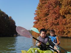 -上海海湾国家森林公园