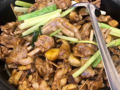 老羗陈皮焖水鸭-潮喜竹溪荔湖酒家(荔枝湾店)