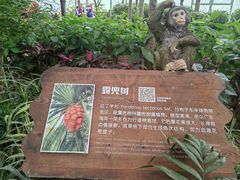 -南宫五洲植物乐园