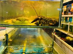 -鑫悦楼煎蟹·16年海鲜大排档