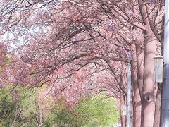 -亦庄创意生活广场