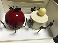 -BLACKSWAN黑天鹅(环球店)
