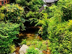 -藏龙百瀑风景区