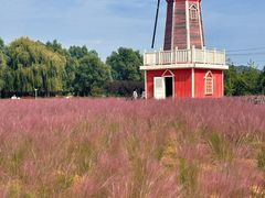 -羊亭河湿地公园