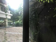 -来回·咖啡(天河南店)