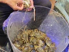 -火福·天湖阁大闸蟹博物馆主题餐厅(浅水湾店)
