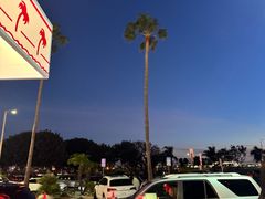 -In-N-Out Burger(LAX)