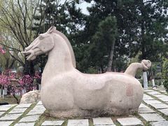 -鹦鹉寺公园