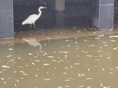 -西安市长乐公园