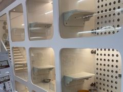 -comecome来吧宠物(奥克斯中心店)