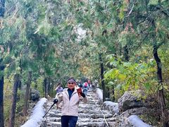 -阳台山自然风景区