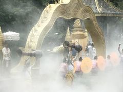 -西双版纳原始森林公园