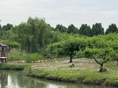 -乌村