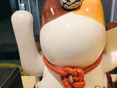 -梵猫·新养生(福州万象城店)