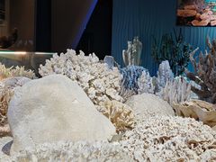 -抱抱地球咖啡馆(国家海洋博物馆店)
