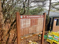 -黄山光明顶山庄