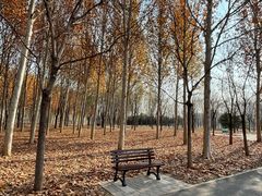 -东郊湿地公园