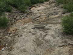 -白水寺森林公园