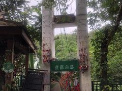 -西双版纳原始森林公园