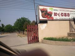 -甜心庄园·甜心草莓采摘园(西青中北店)