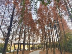 -成都南湖公园