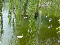 -辛玛王国游乐园