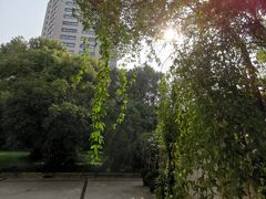 -Nathalie Djurberg与Hans Berg“牛皮纸包裹的月亮”-Prada荣宅当季展览