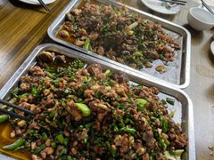 -铁山坪森林公园