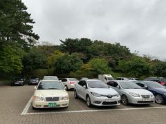 -汉拿树木园