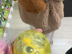 -狸小路商店街