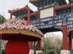 -迎泽公园