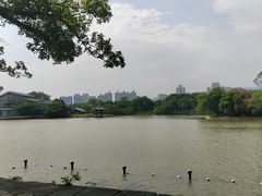 -江心屿景区