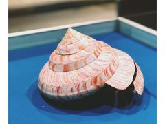-青岛贝壳博物馆